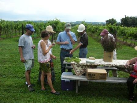 Johnson Estate Winery - What's Terroir