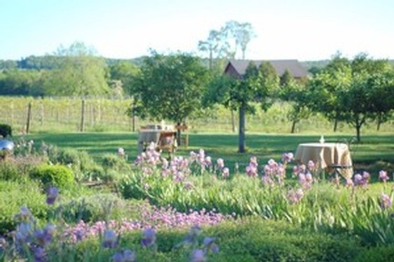 Johnson Estate Winery tables in iris garden