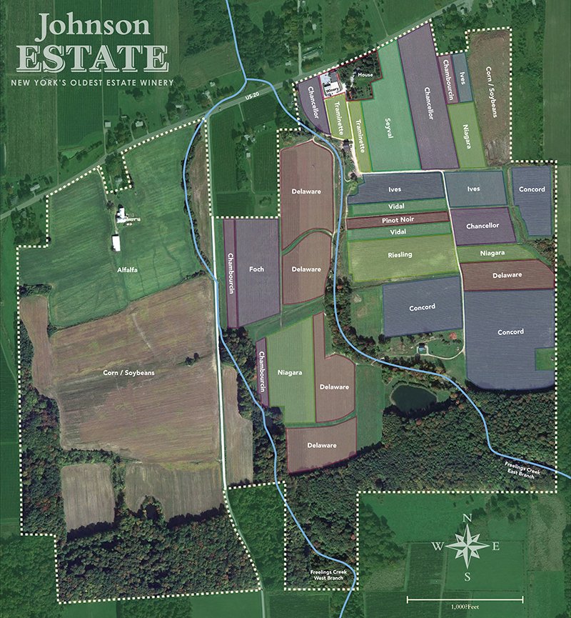 Johnson Estate Winery vineyard map