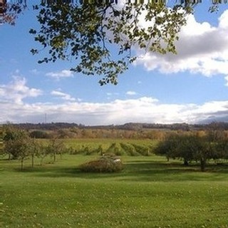 View from the porch