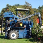 Grape Picker Harvest