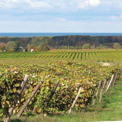 What is terroir?