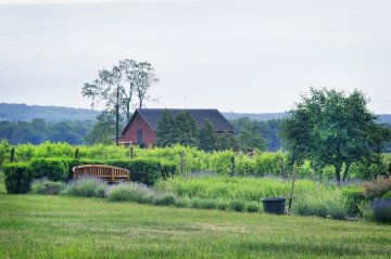 Johnson Estate Winery garden