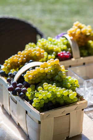 Great Grape Walk - October 14, 2023 - 10:00am