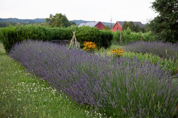 The Estate Tour - July 20th - 10am