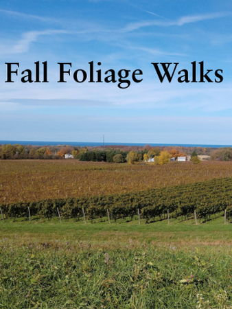 Fall Foliage Walk - October 19th, 2025 - 10:30am
