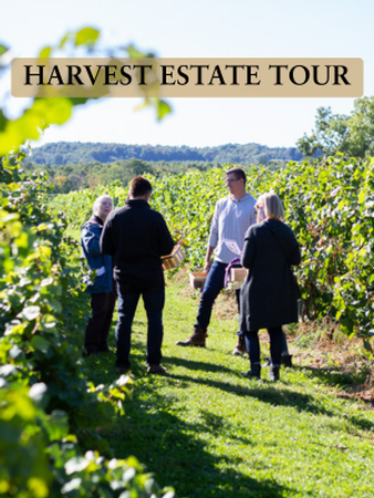 Harvest Estate Tour Sept 7th - 10:30am