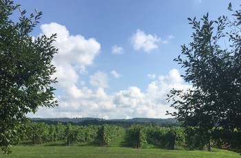 Winemaker's Farm to Table Dinner on the Ridge