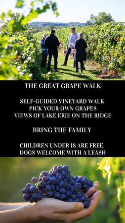 Great Grape Walk - September 14, 2025 - 11:00am
